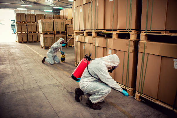 Best Pest Control Cost  in Delta, UT
