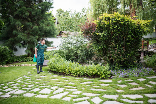 Best Ant Control Services  in Delta, UT
