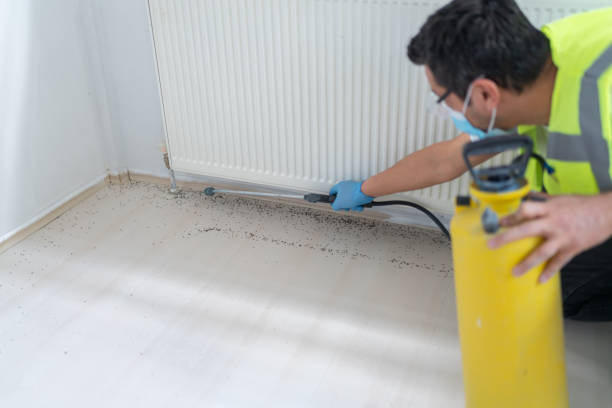 Best Mosquito Control Services  in Delta, UT