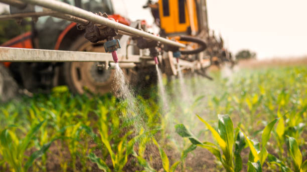 Pest Control Cost in Delta, UT